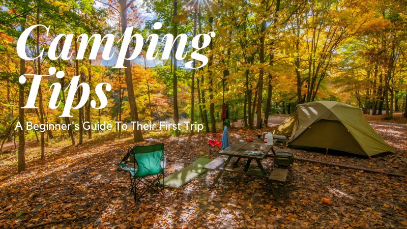 http://icoupongo.com/news|What equipment do beginners need to bring for camping?